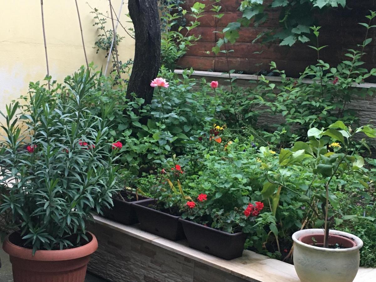 Apartament Mandula Vendeghaz Eger Zewnętrze zdjęcie